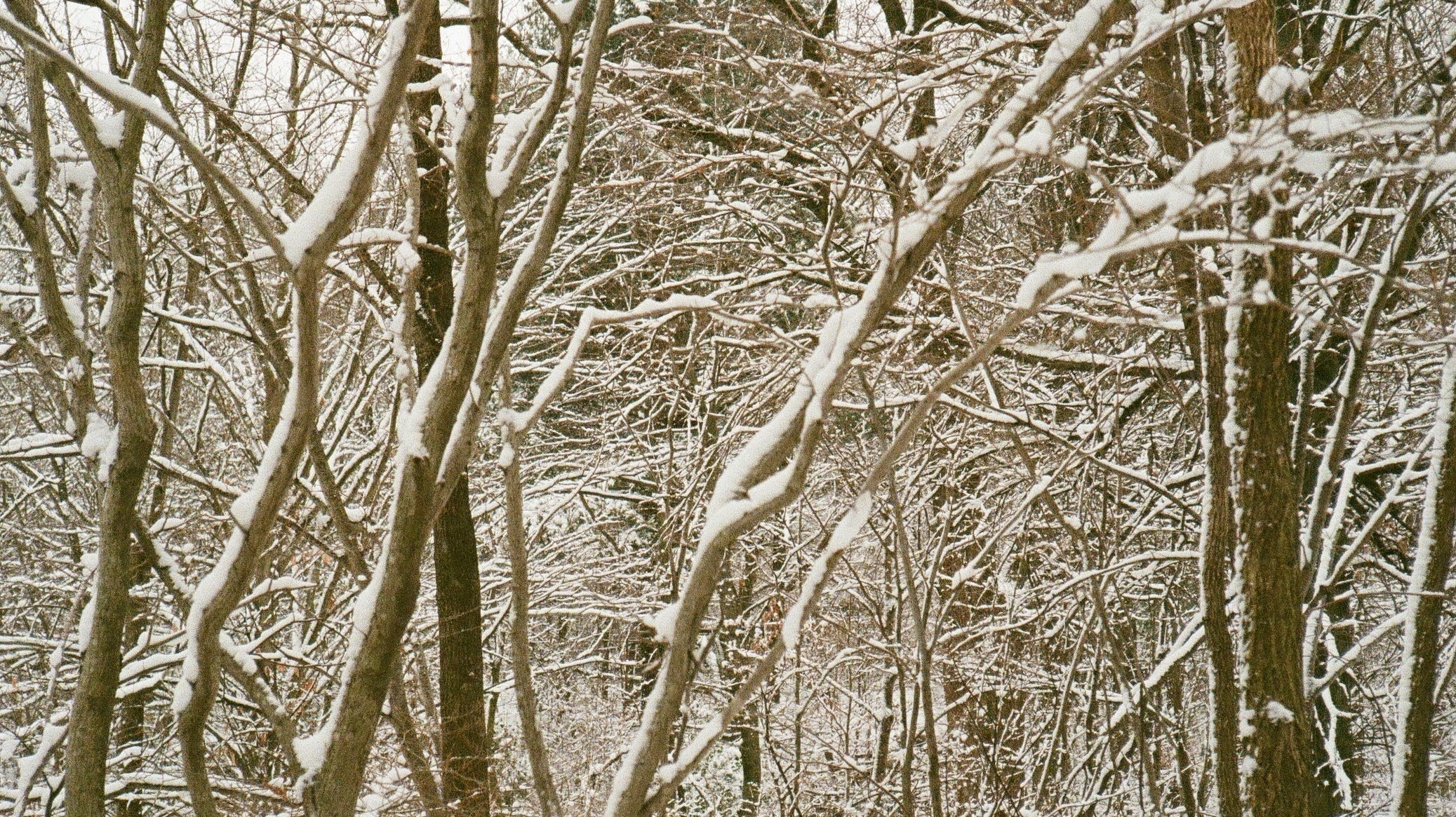 Shop Gal Guide | February Edition - elsie green