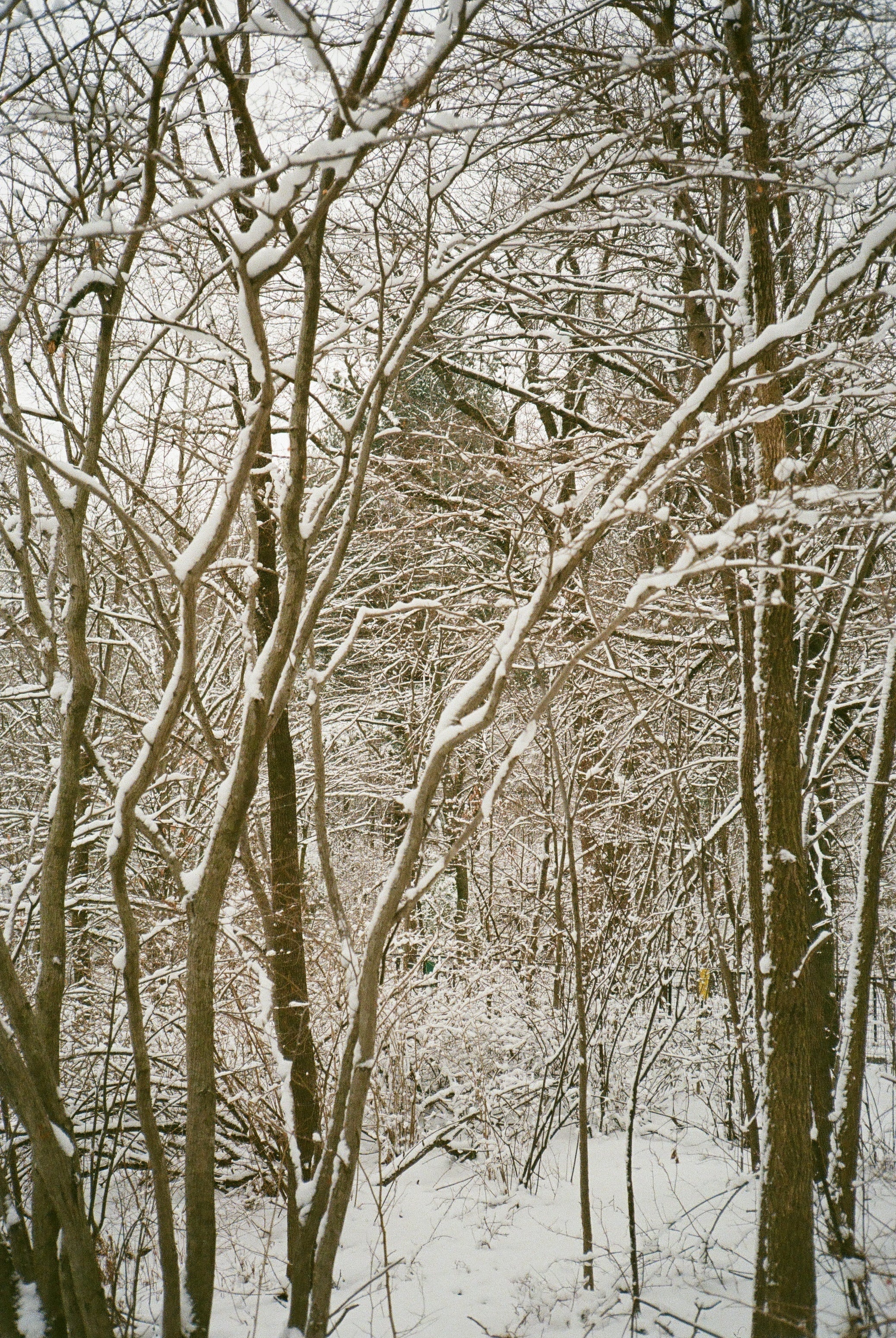 Shop Gal Guide | February Edition - elsie green