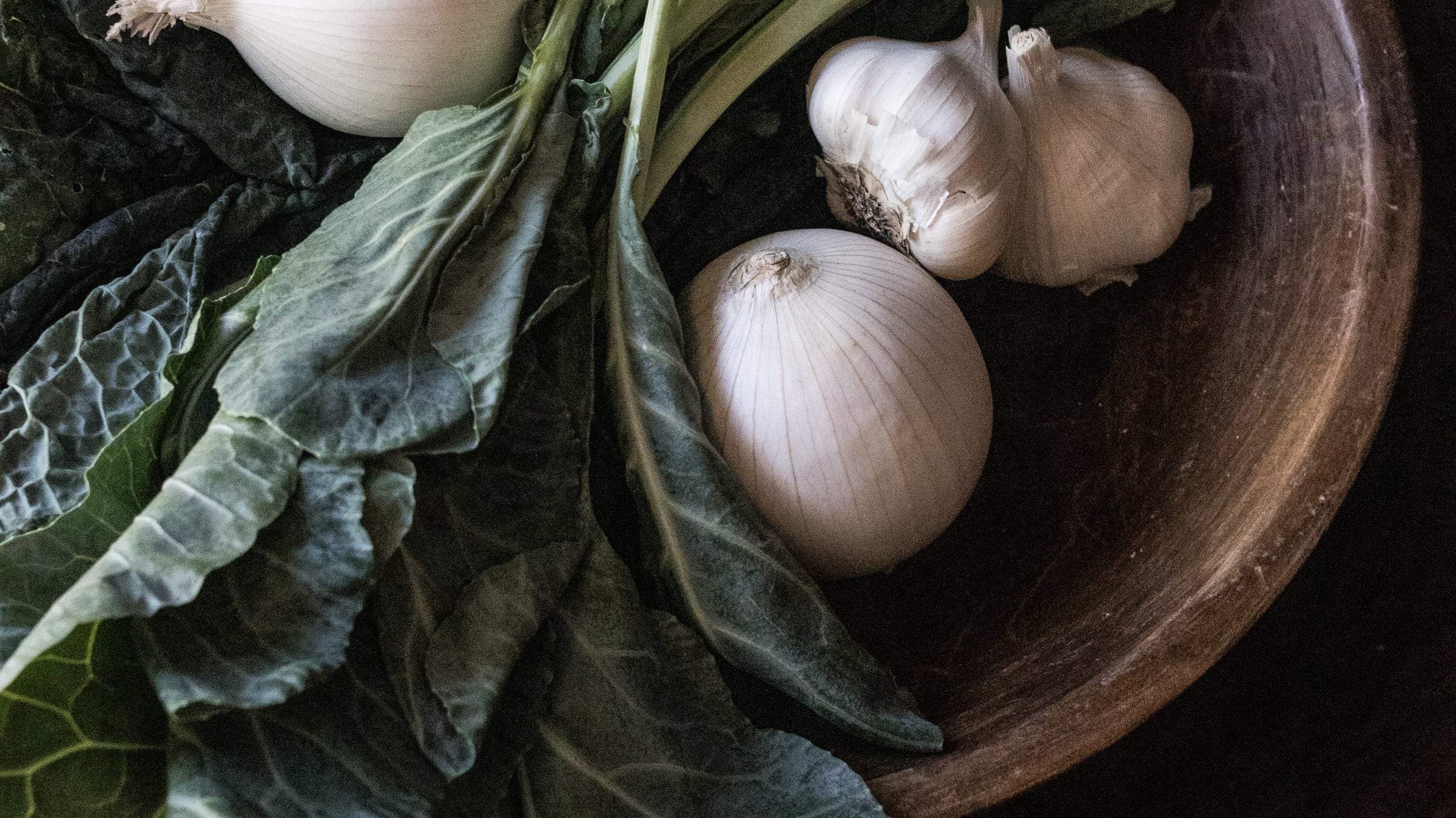 Shop Gal Guide | January Edition - elsie green