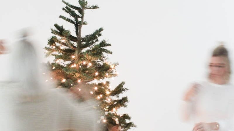 Shop Gal Guide | November Edition - elsie green