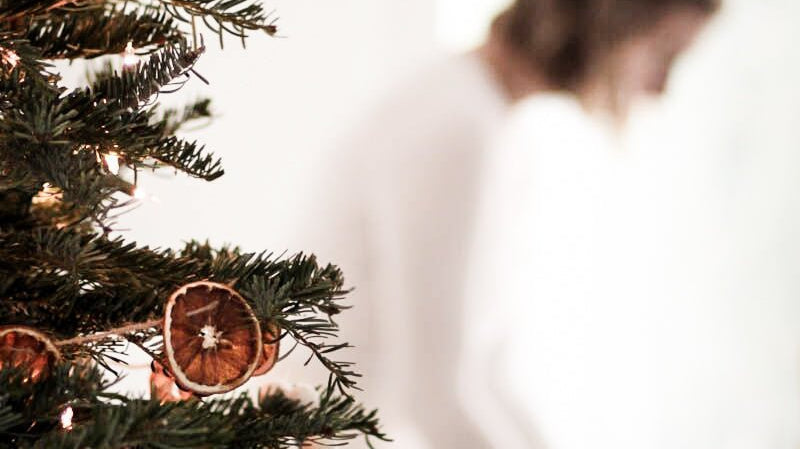 Shop Gal Guide | November Edition - elsie green