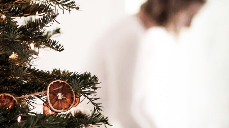 Shop Gal Guide | November Edition - elsie green