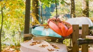 Shop Gal Guide | October Edition - elsie green