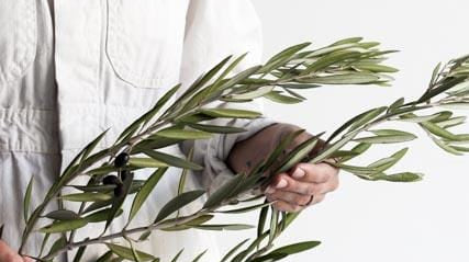 Simple Beauty - elsie green