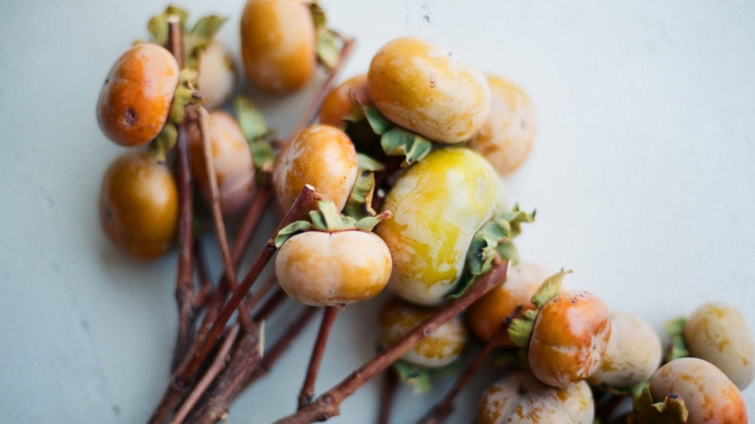 Thanksgiving | 2020 Edition - elsie green