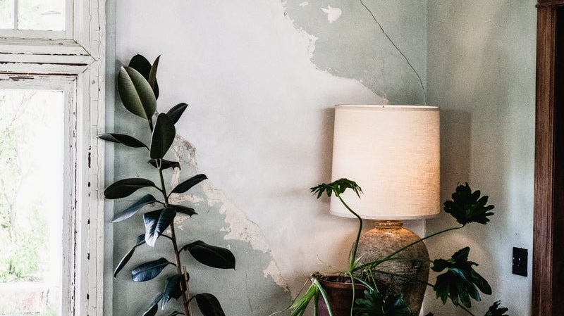 The Coolest Winery in Sonoma County | A Conversation with Scribe - elsie green