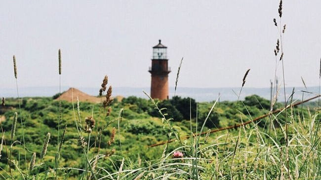 Travel Guide | Martha's Vineyard - elsie green