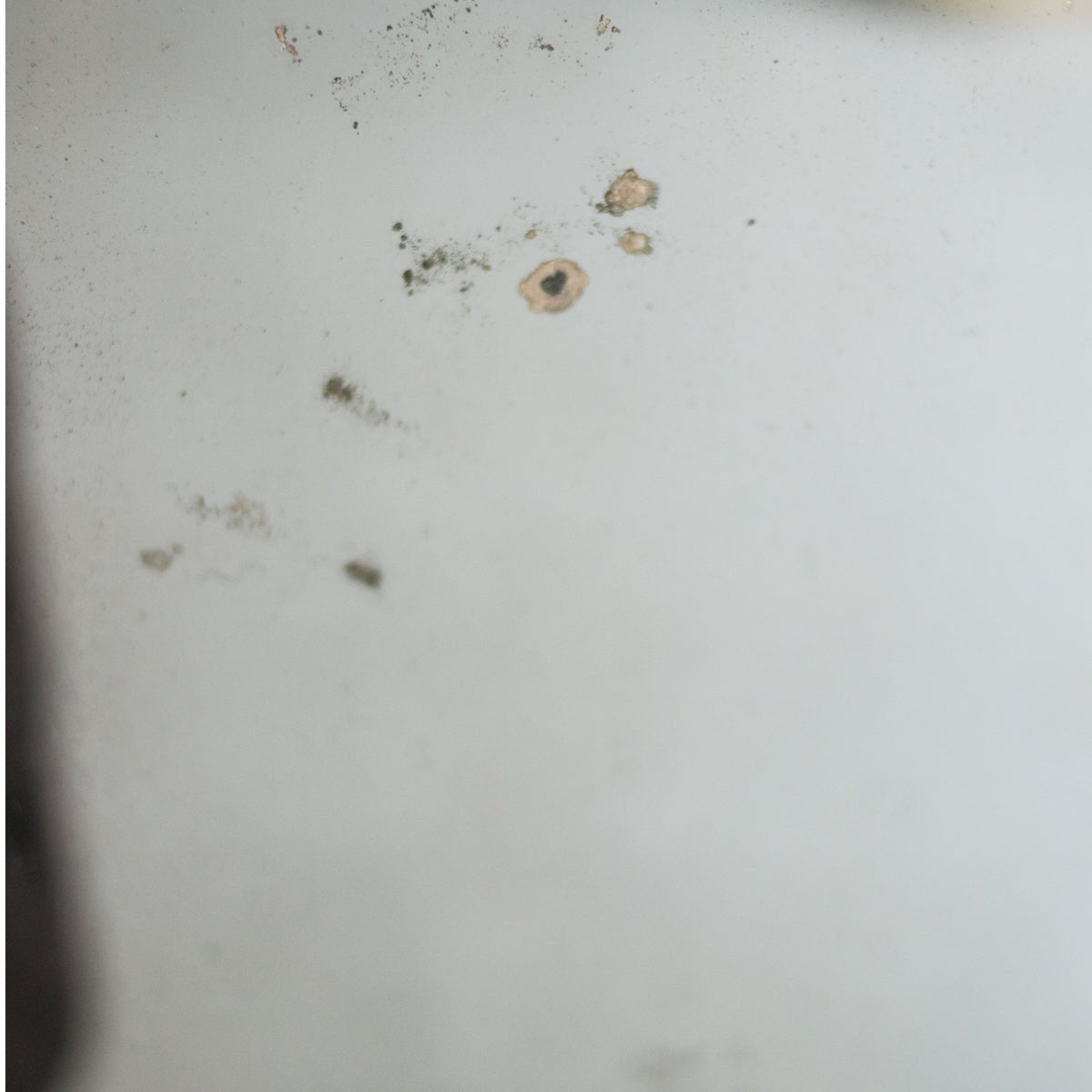 18th Century Gilded Mirror | 48 x 28 - elsie green - Decor