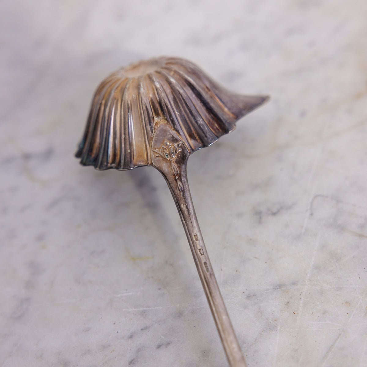 Antique Bar Ladle - elsie green - the french kitchen