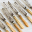 Antique Bone Knife Eclectic Set Of 9 - elsie green - The French Kitchen
