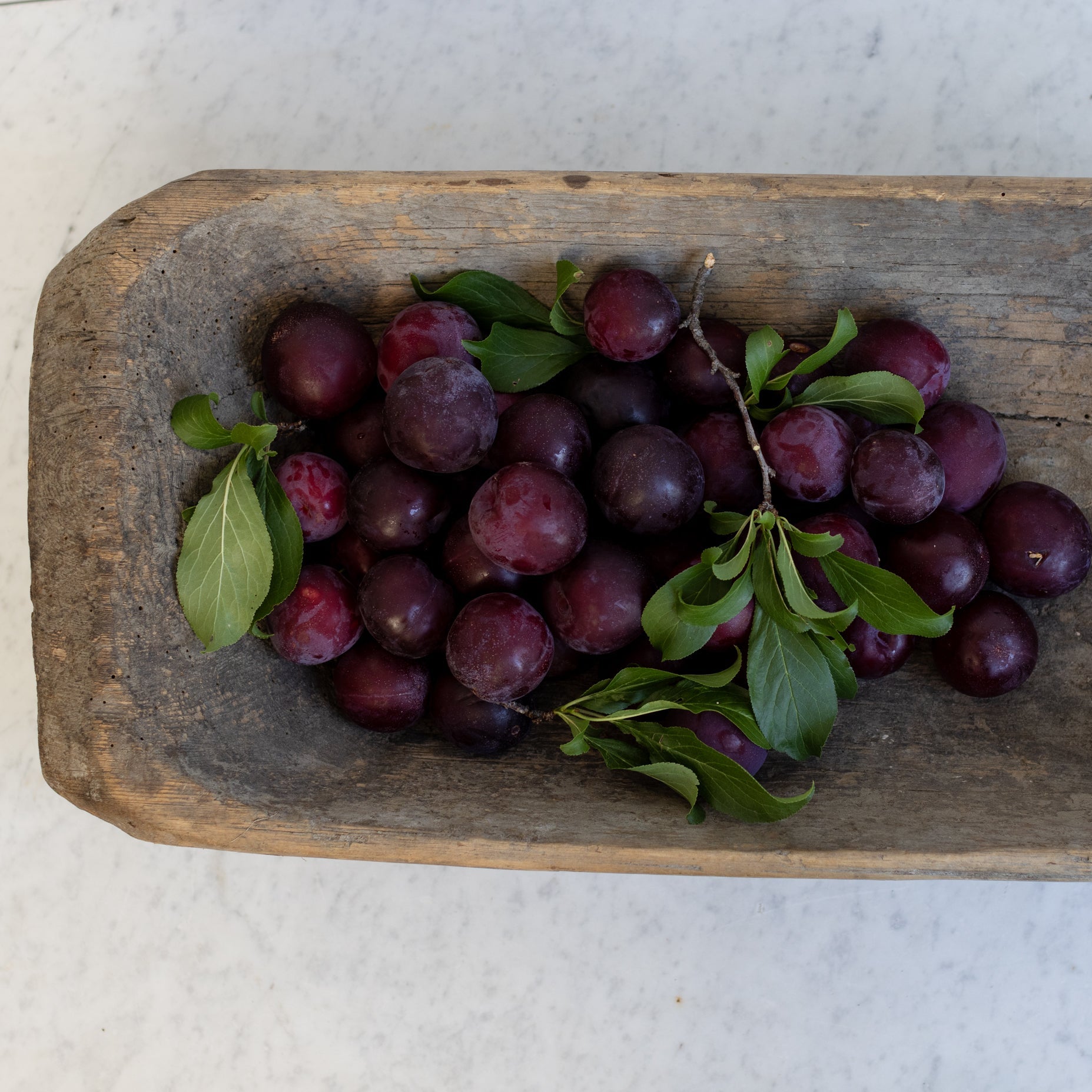 Antique Dough Bowl - elsie green - the french kitchen