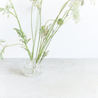 Antique Flower Frog - elsie green - decor