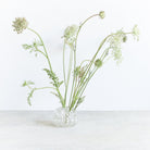 Antique Flower Frog - elsie green - decor