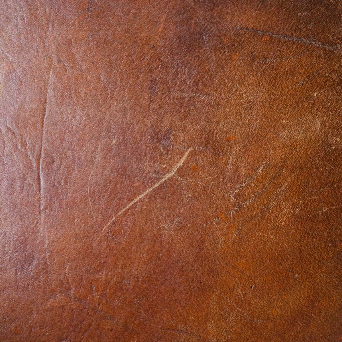 Antique Leather Club Chair - elsie green - furniture