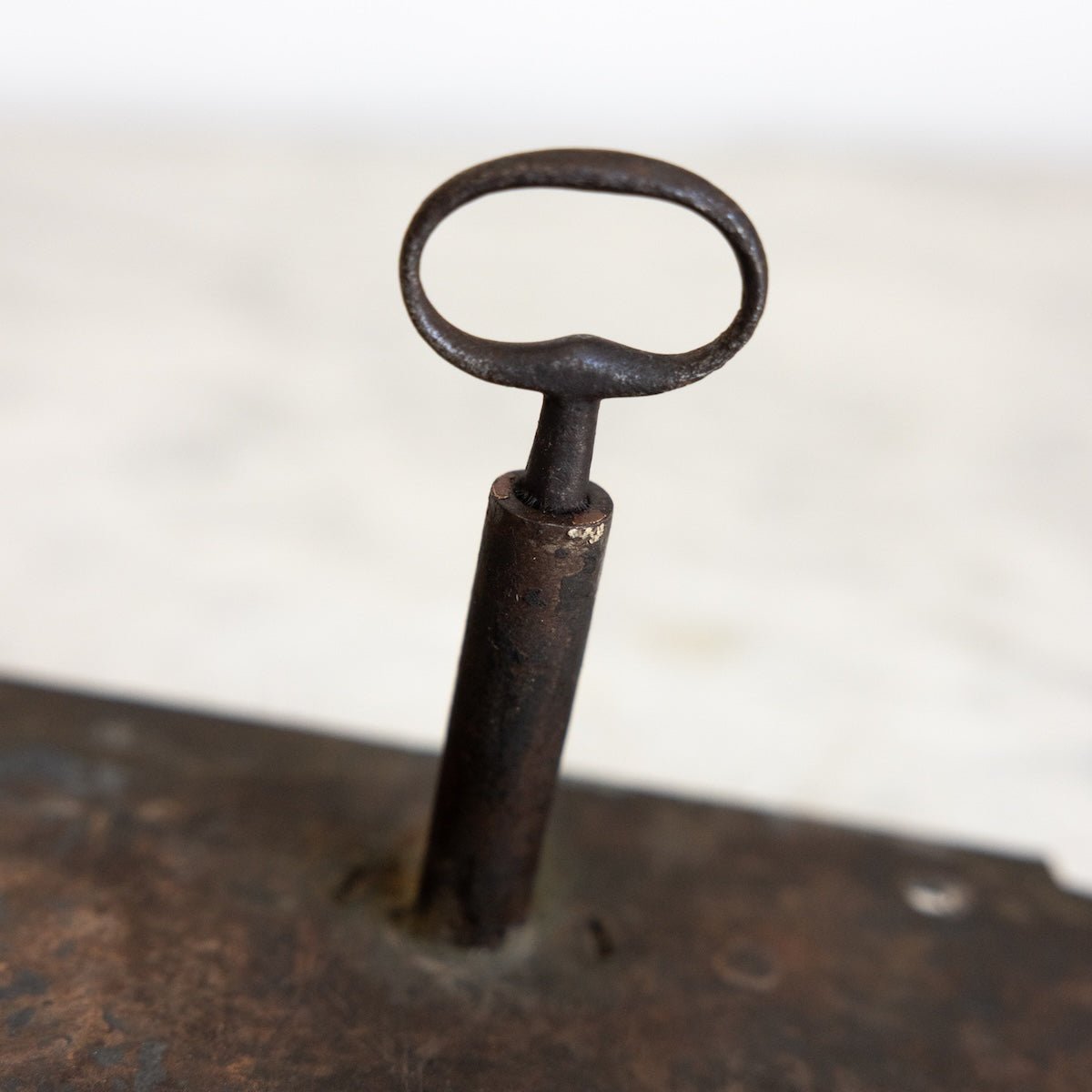 Antique Lock and Key - elsie green - decor