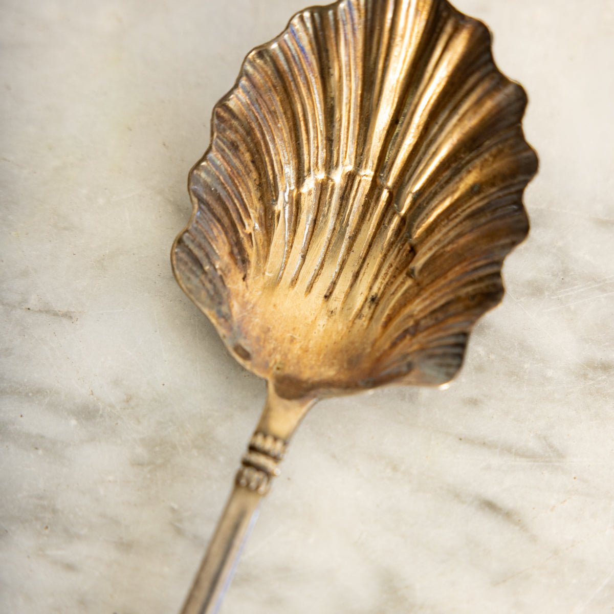 Antique Shell Spoon - elsie green - the french kitchen