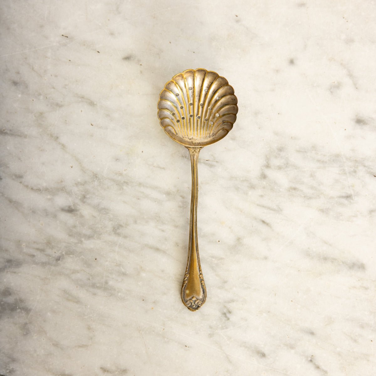 Antique Shell Spoon - elsie green - the french kitchen