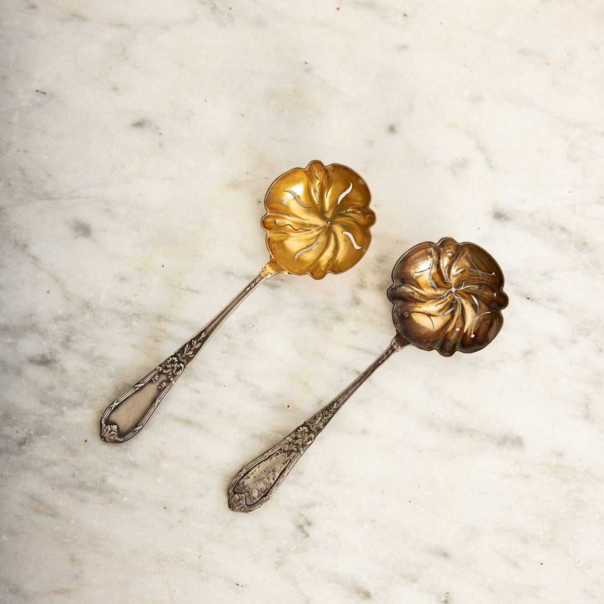 Antique Shell Spoon - elsie green - the french kitchen
