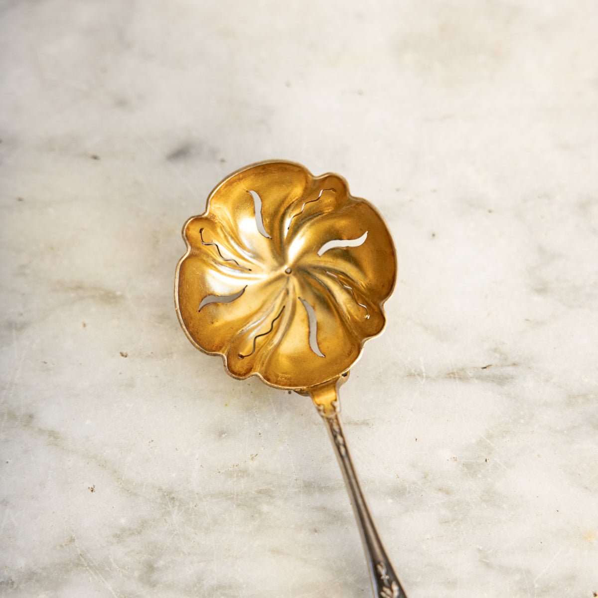 Antique Shell Spoon - elsie green - the french kitchen