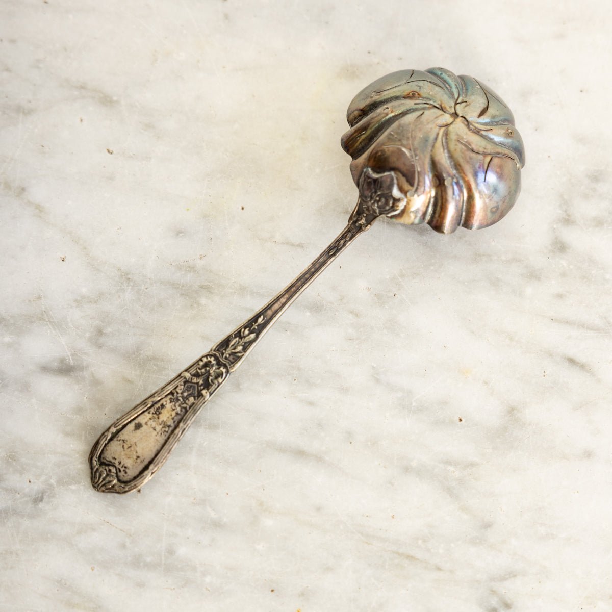 Antique Shell Spoon - elsie green - the french kitchen
