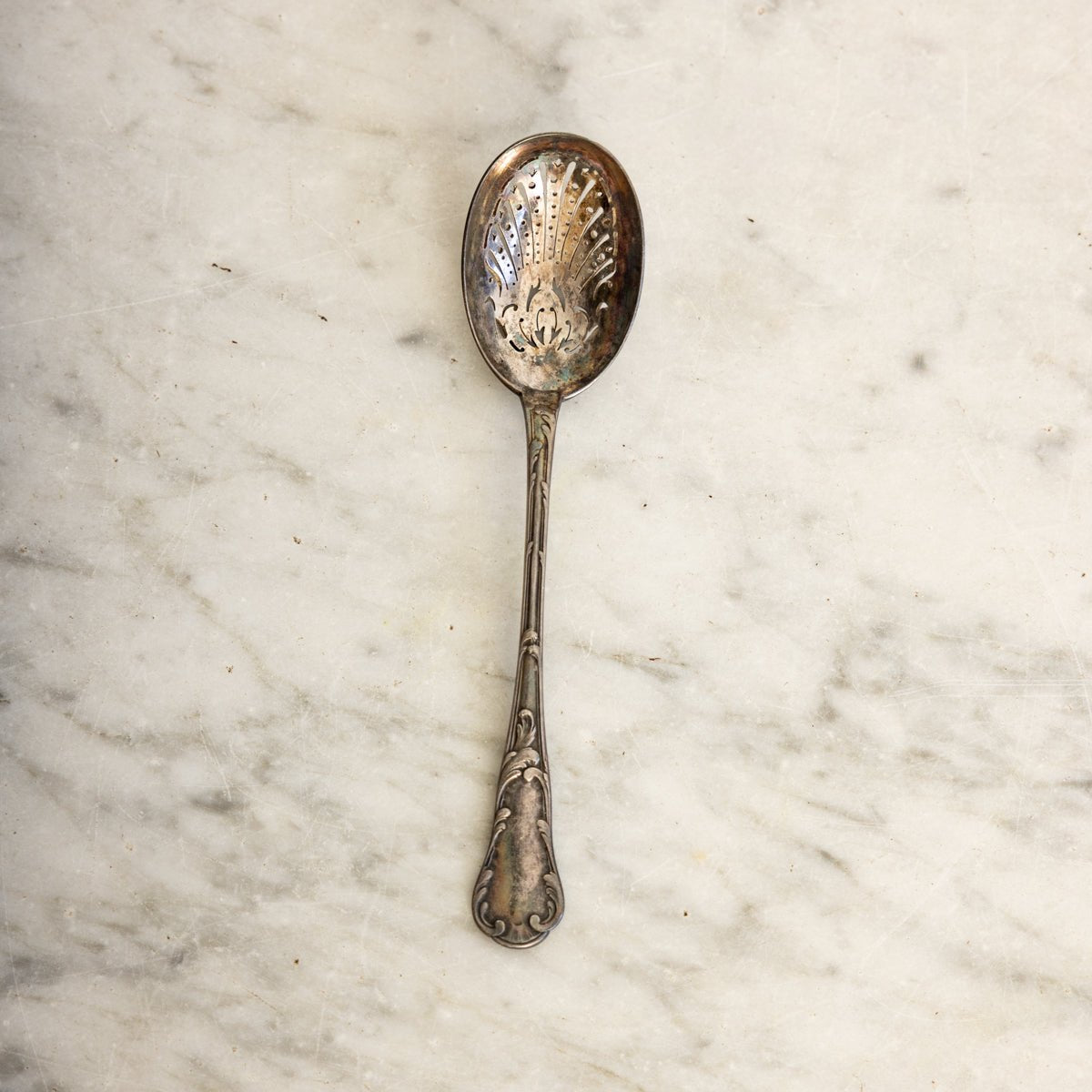 Antique Shell Spoon - elsie green - the french kitchen