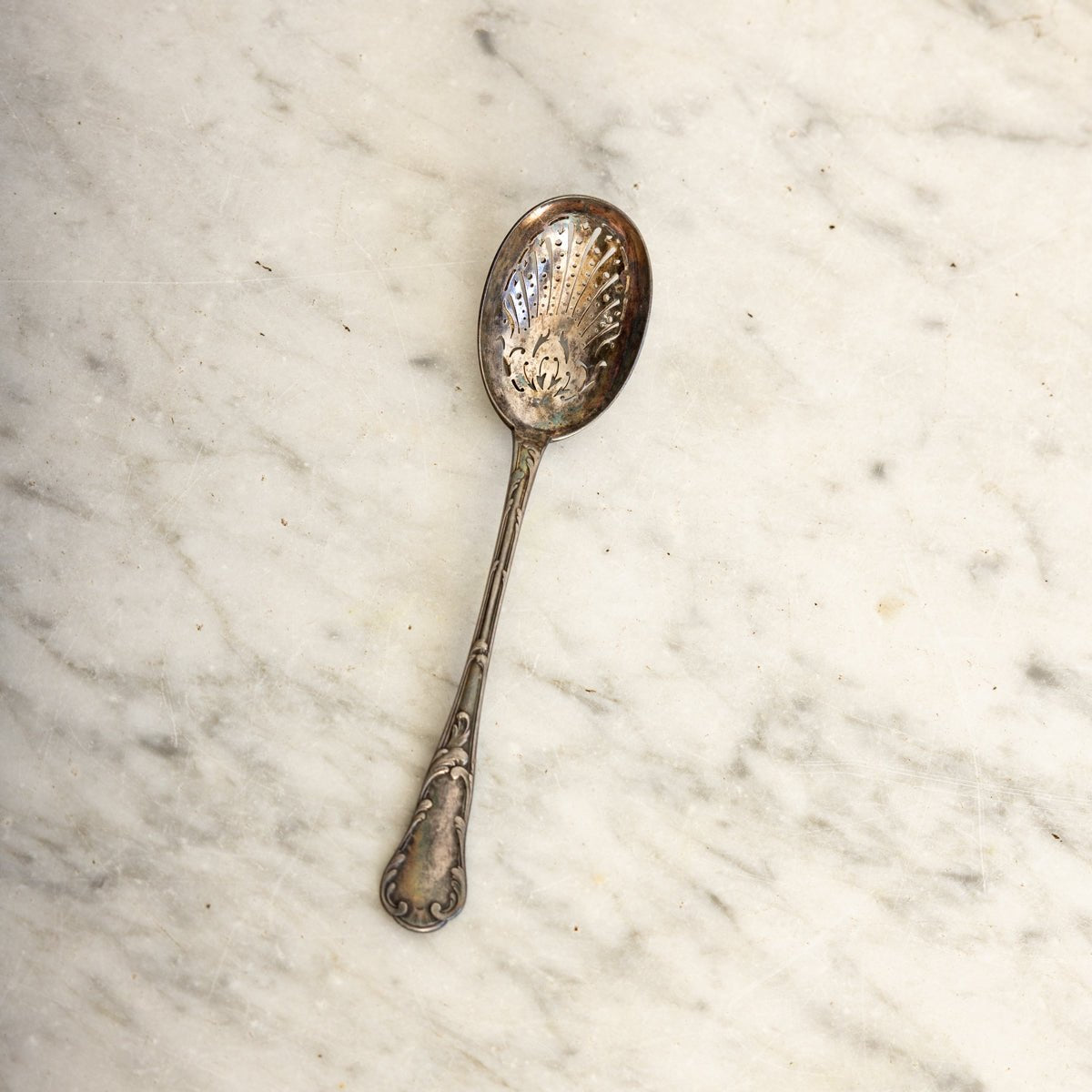 Antique Shell Spoon - elsie green - the french kitchen