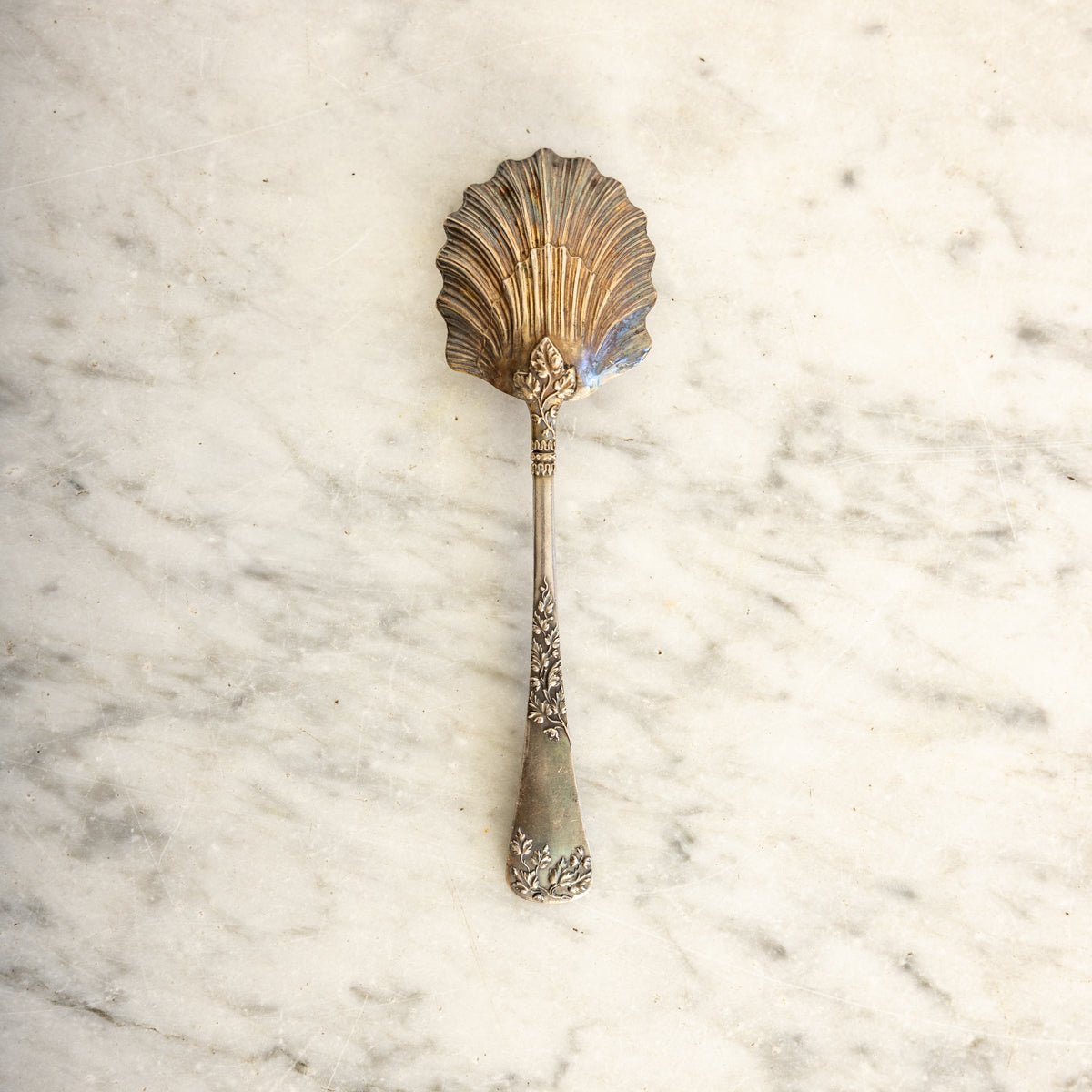 Antique Shell Spoon - elsie green - the french kitchen