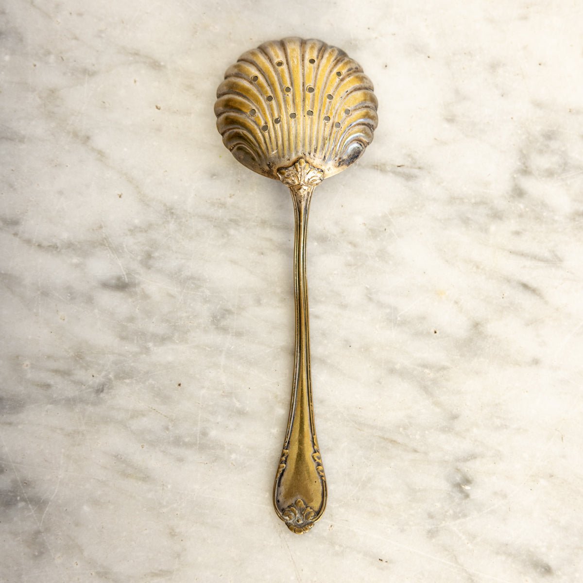 Antique Shell Spoon - elsie green - the french kitchen