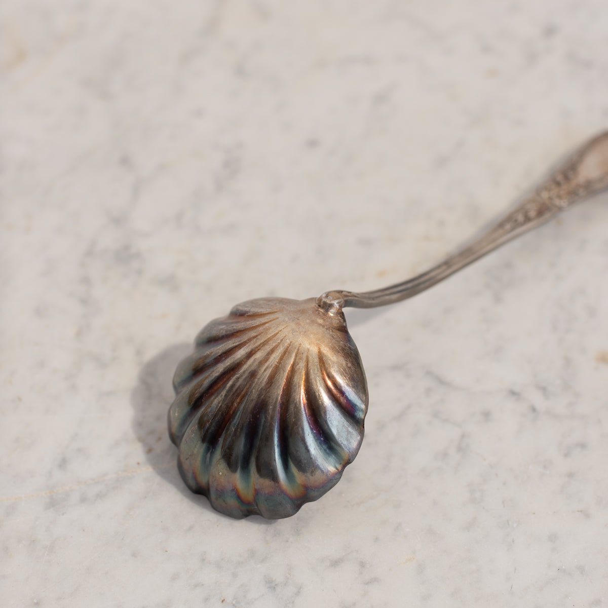 Antique Shell Spoon | The Patrick Orbe Collection - elsie green - the french kitchen