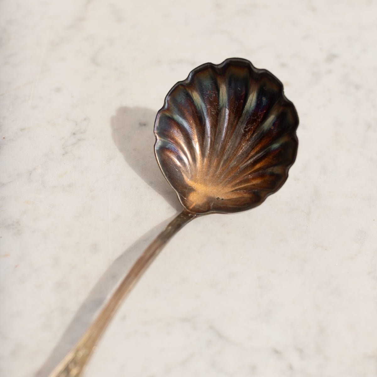 Antique Shell Spoon | The Patrick Orbe Collection - elsie green - the french kitchen
