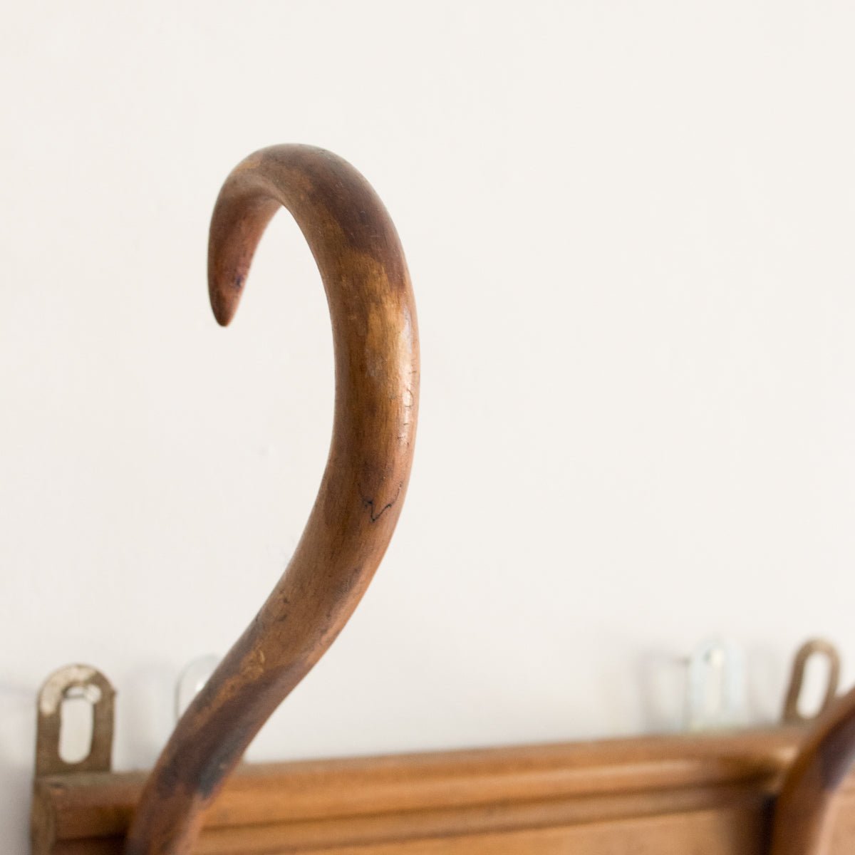 Bentwood Coat Rack - elsie green - decor