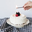 Berry Birthday Candle Set Of 10 - elsie green - decor