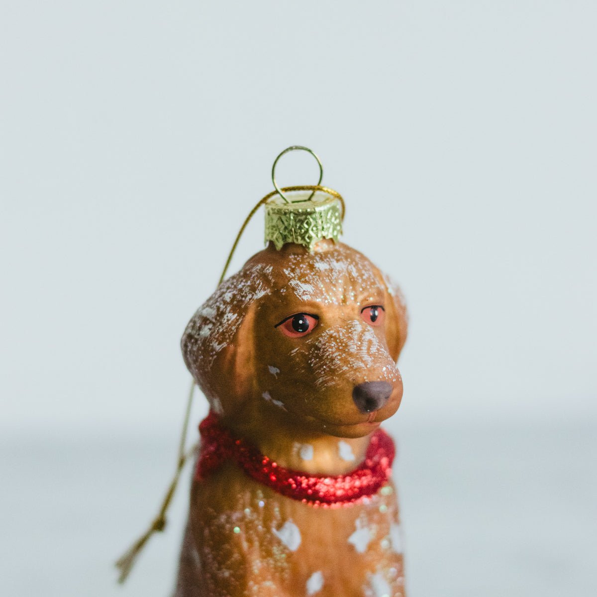 Blown Glass Labradoodle Ornament - elsie green - decor