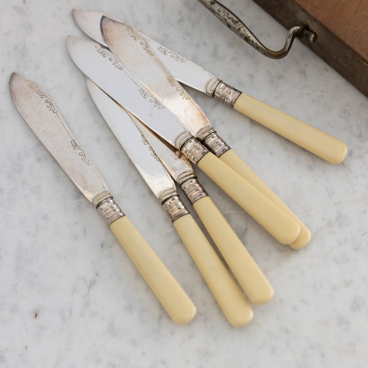 Bone & Sterling Spreader Set of 6 - elsie green - the french kitchen