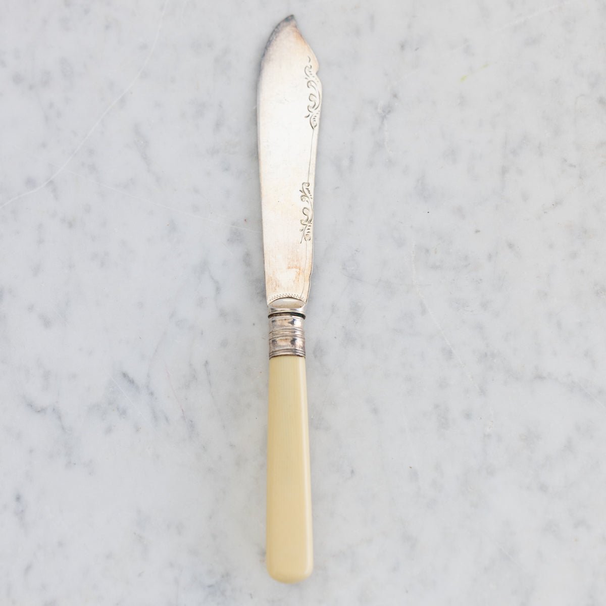 Bone & Sterling Spreader Set of 6 - elsie green - the french kitchen