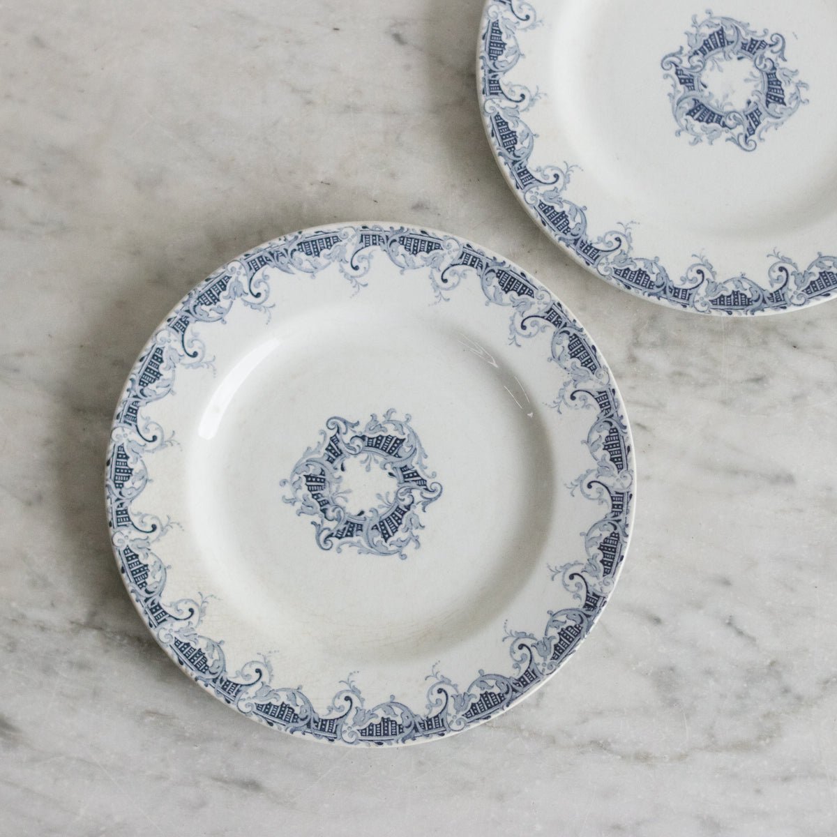 Bordure Transferware Plate Set of 11 - elsie green - The French Kitchen