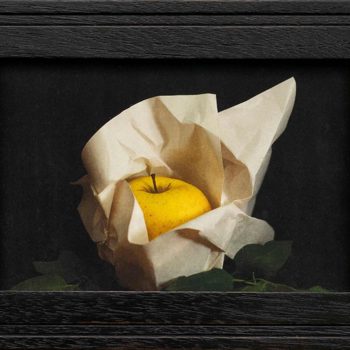 Box Series | The Ore of August | Jefferson Hayman - elsie green - art