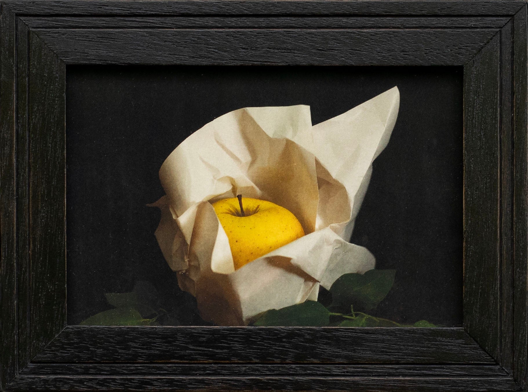 Box Series | The Ore of August | Jefferson Hayman - elsie green - art