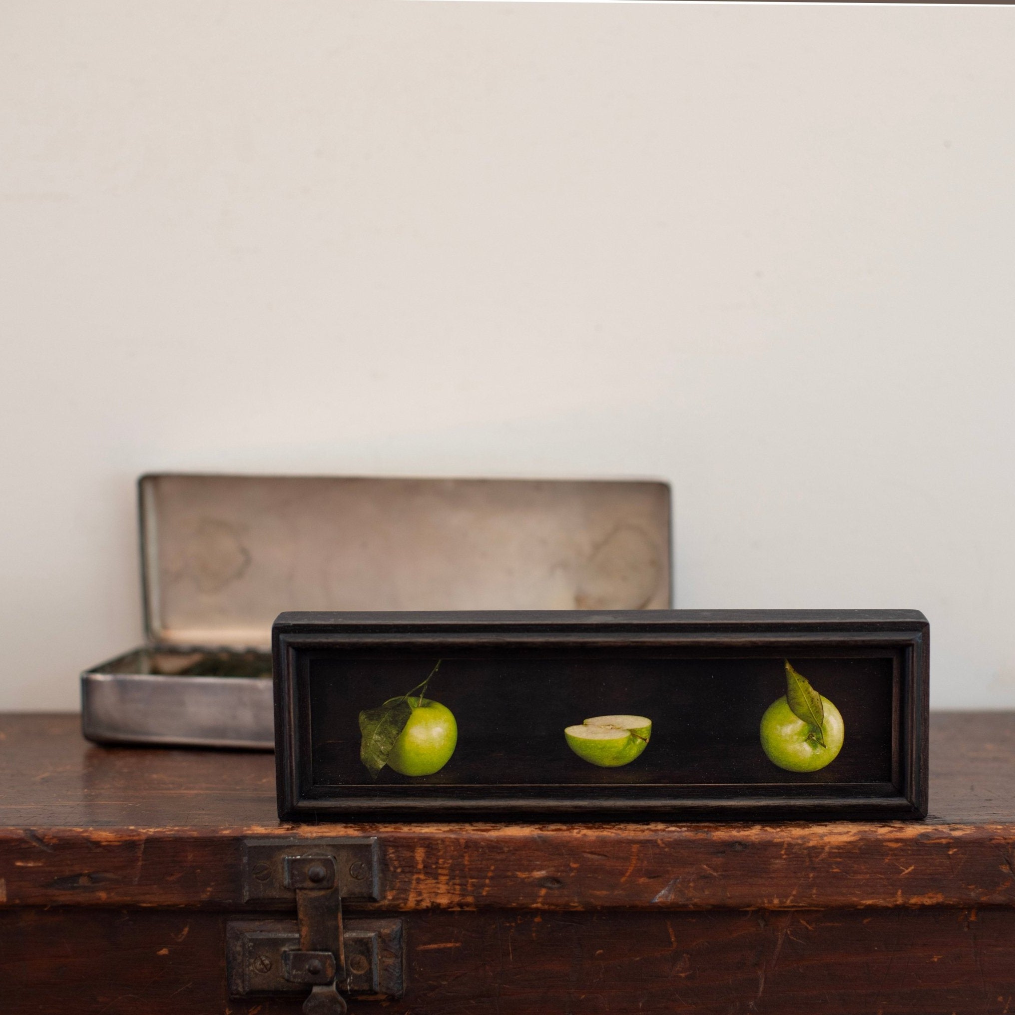 Box Series | The Path | Jefferson Hayman - elsie green - art