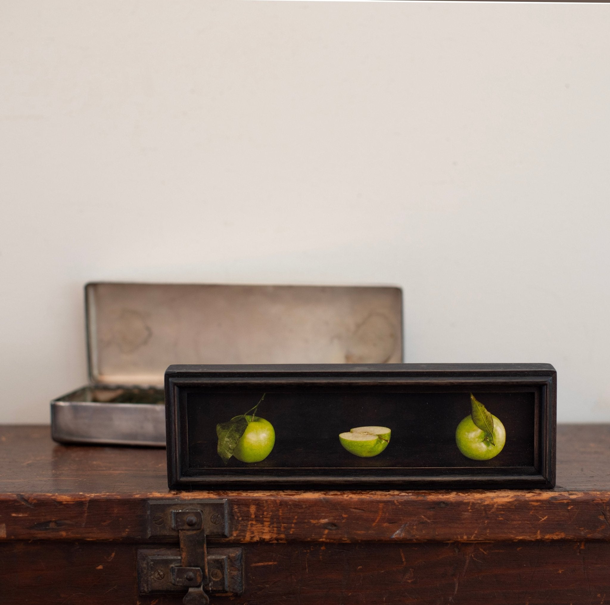 Box Series | The Path | Jefferson Hayman - elsie green - art