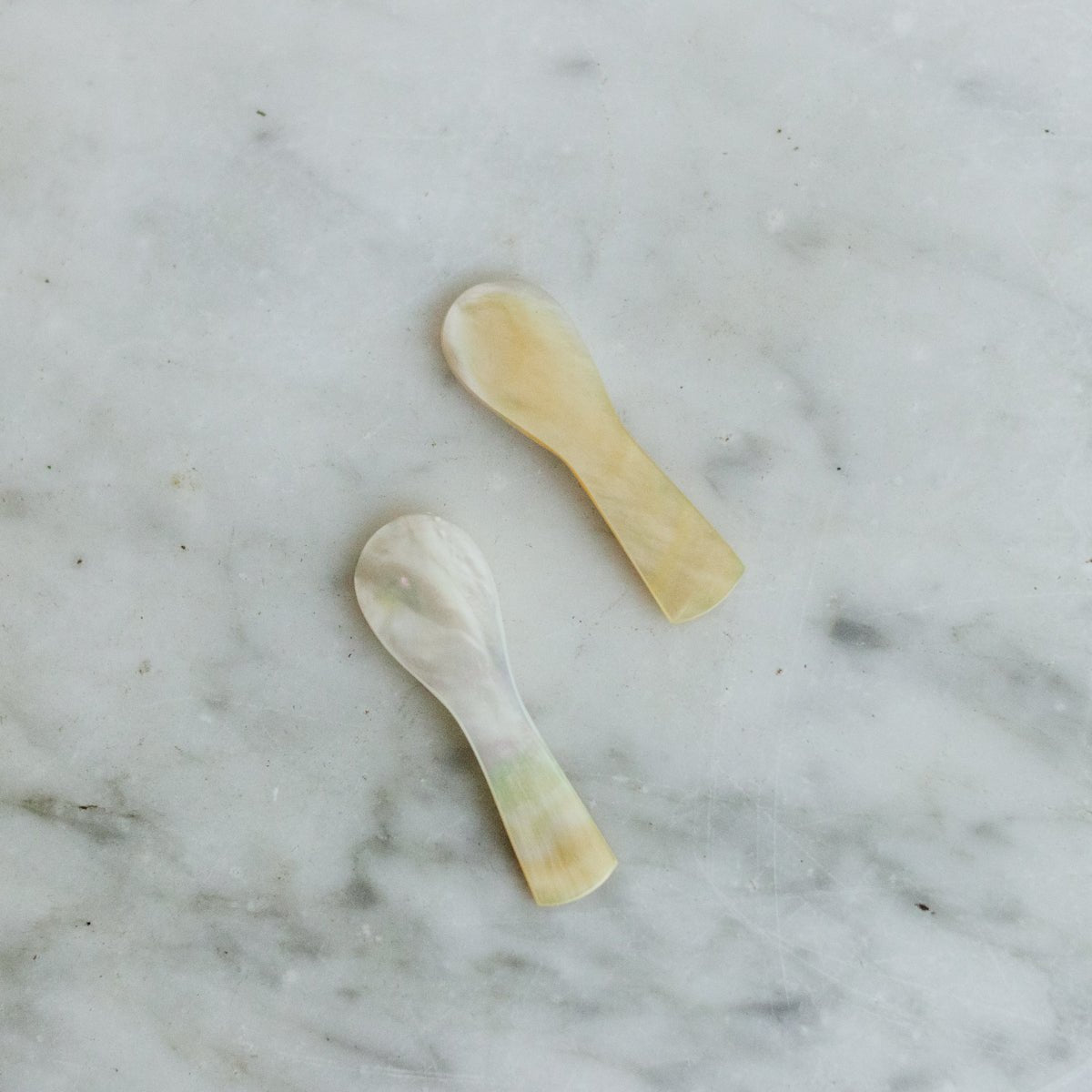 Brass Balancing Plate with 14 Petite Shell Spoons - elsie green - The French Kitchen