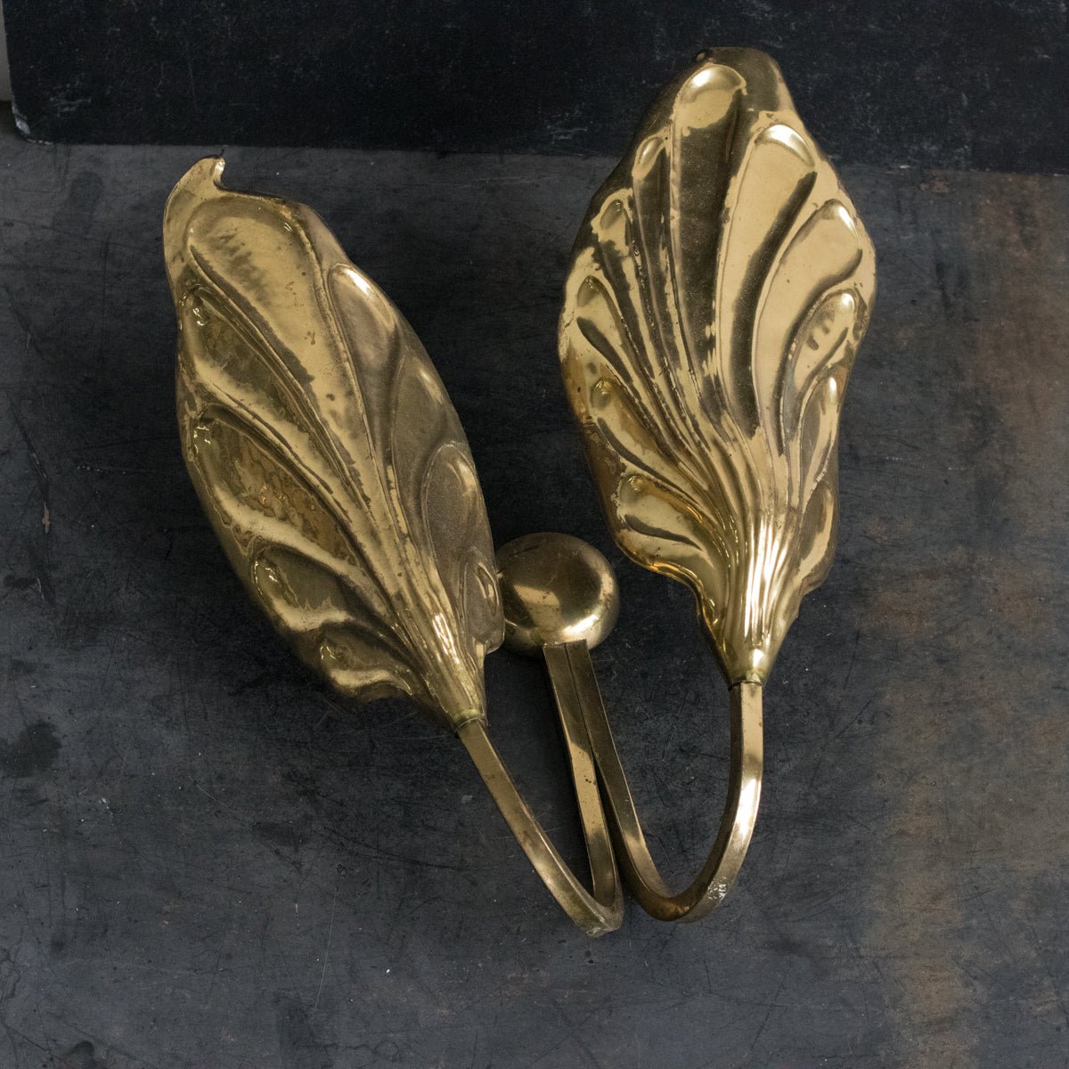 Brass Botanical Sconce | Tommaso Barbi - elsie green - decor