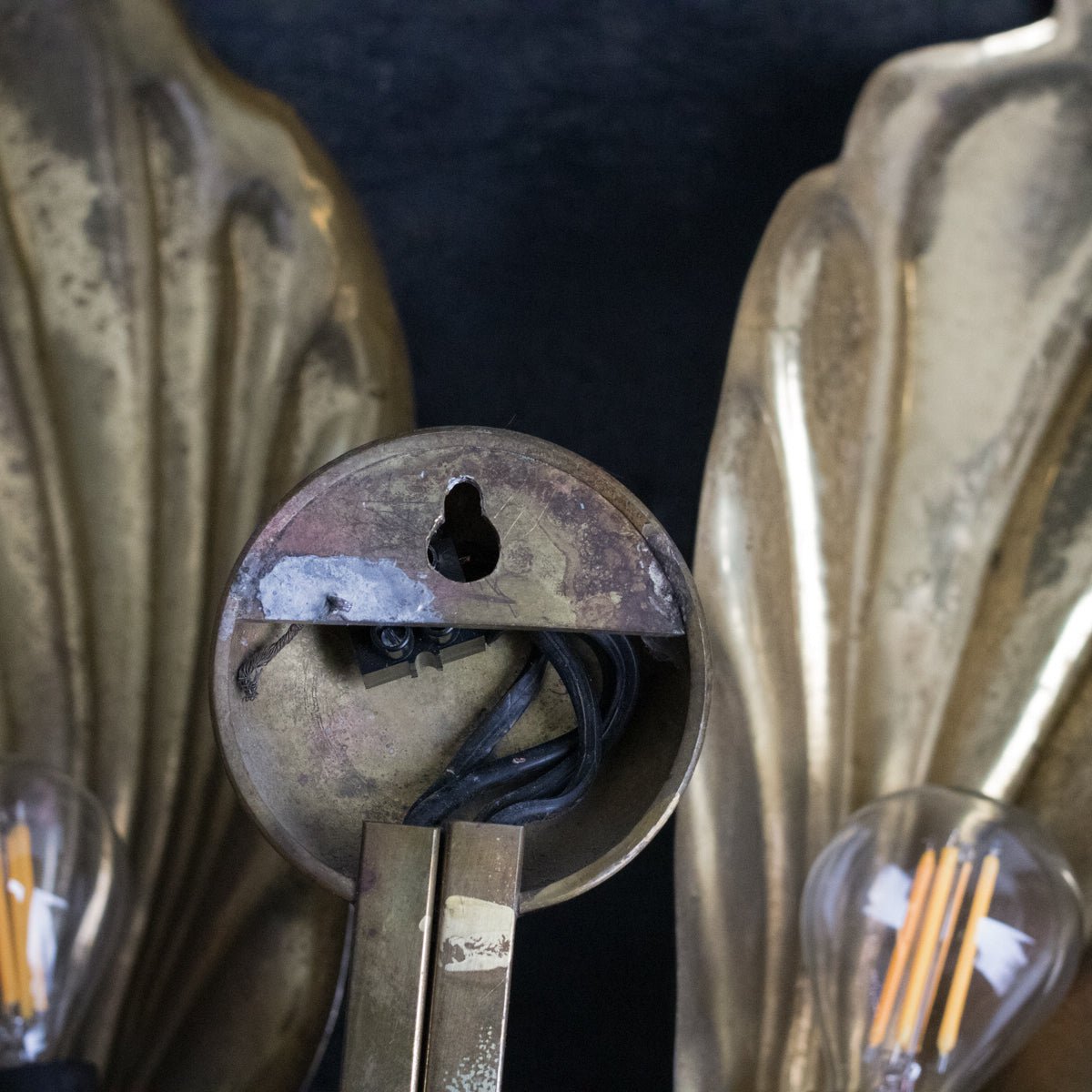 Brass Botanical Sconce | Tommaso Barbi - elsie green - decor