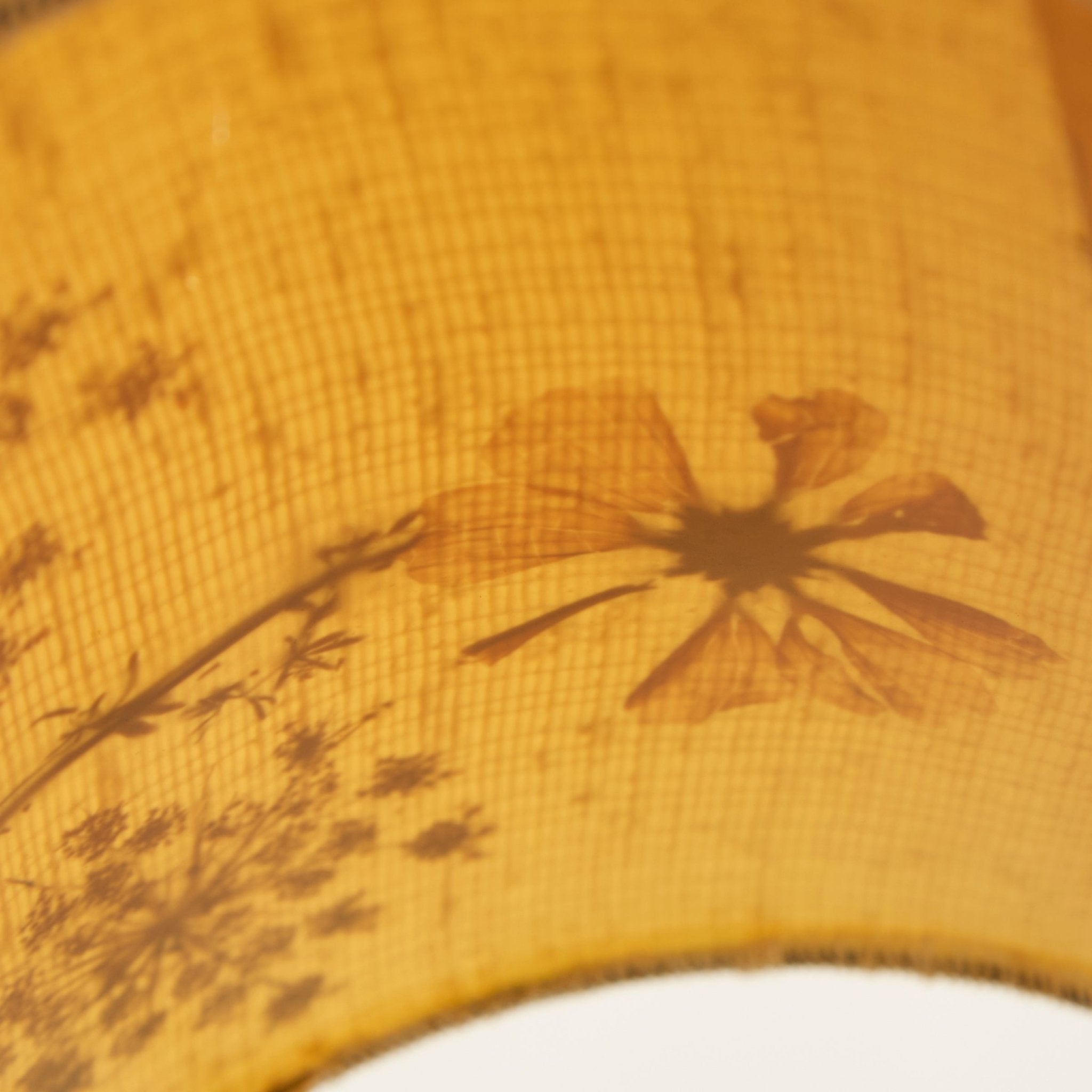 Brass Floor Lamp with Botanical Shade - elsie green - decor