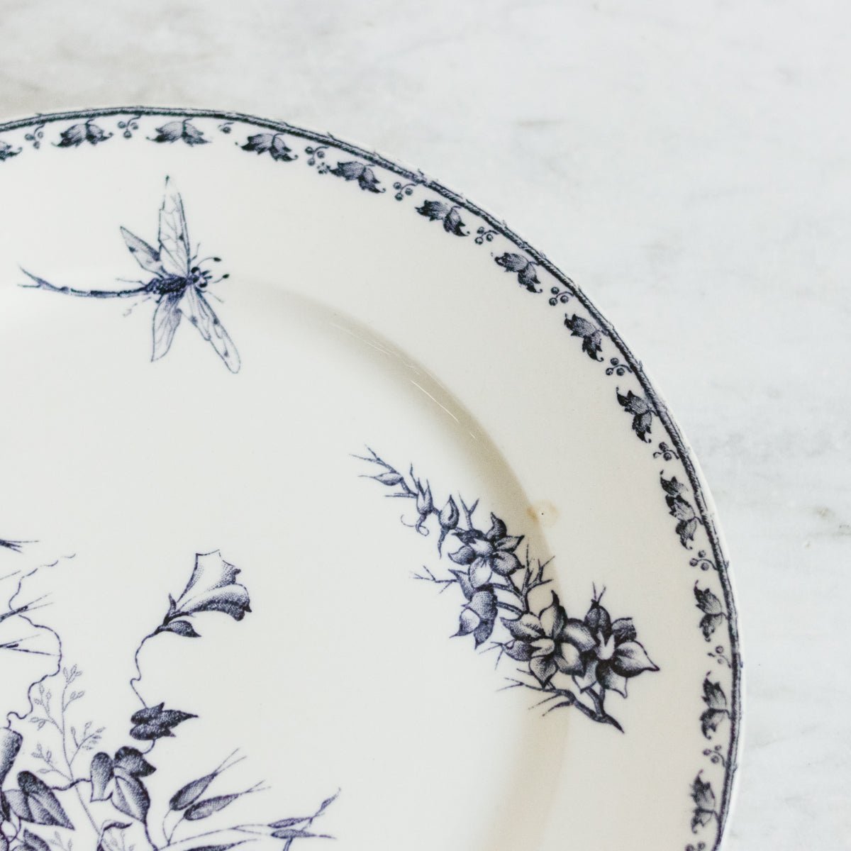 Carmen Transferware Plate Set Of 4 - elsie green - the french kitchen