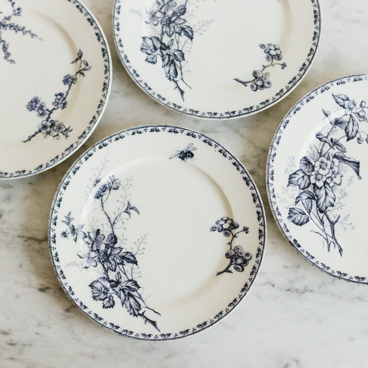 Carmen Transferware Plate Set Of 4 - elsie green - the french kitchen