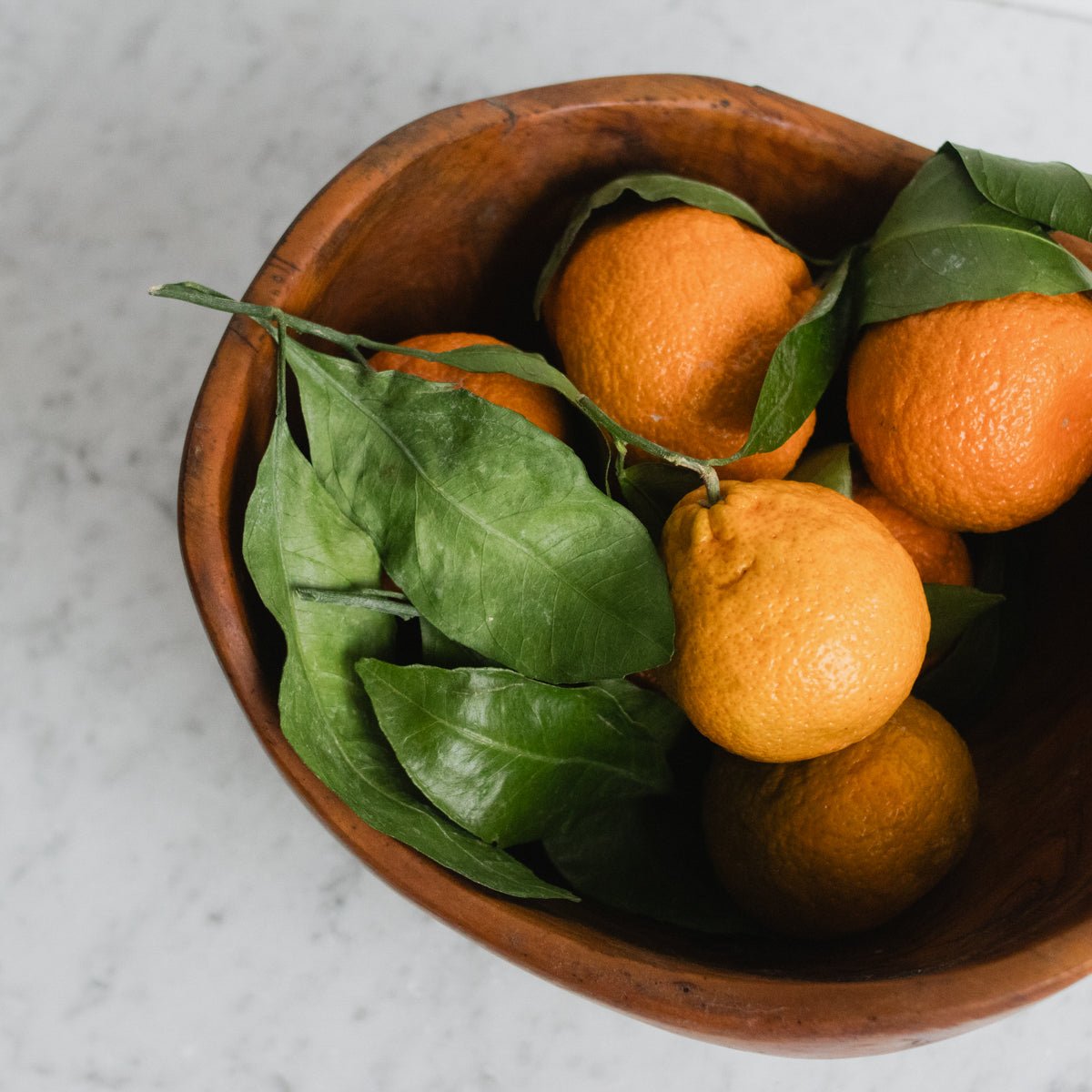 Carved Wood Bowl - elsie green - the french kitchen