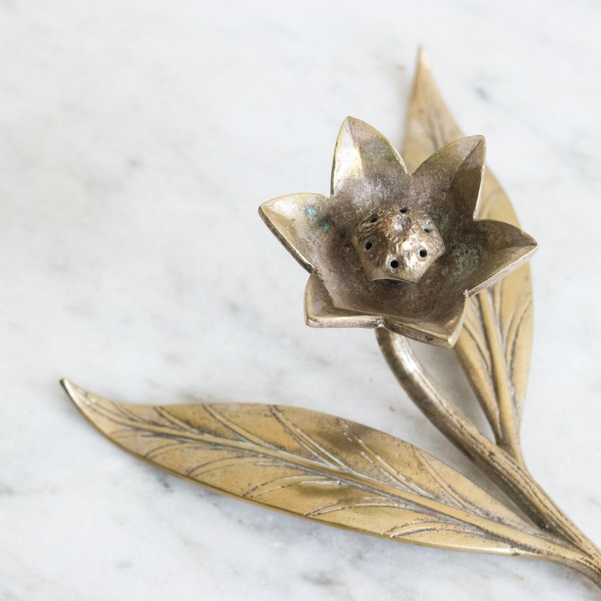 Cast Brass Botanical Sculpture - elsie green - decor
