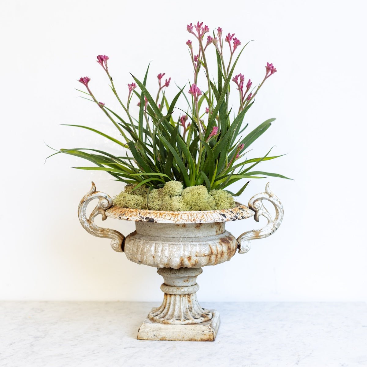 Cast Iron Garden Urn - elsie green - Decor