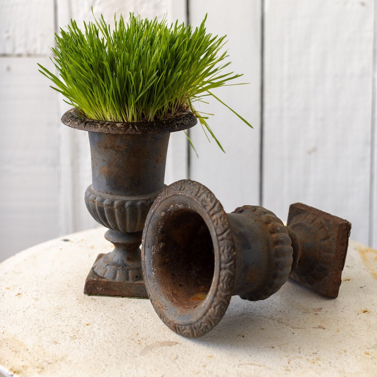 Cast Iron Garden Urn - elsie green - decor